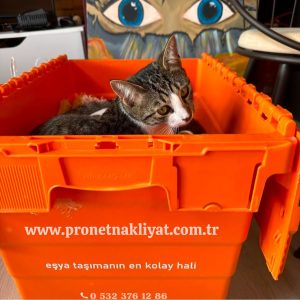 İstanbul Nakliyat